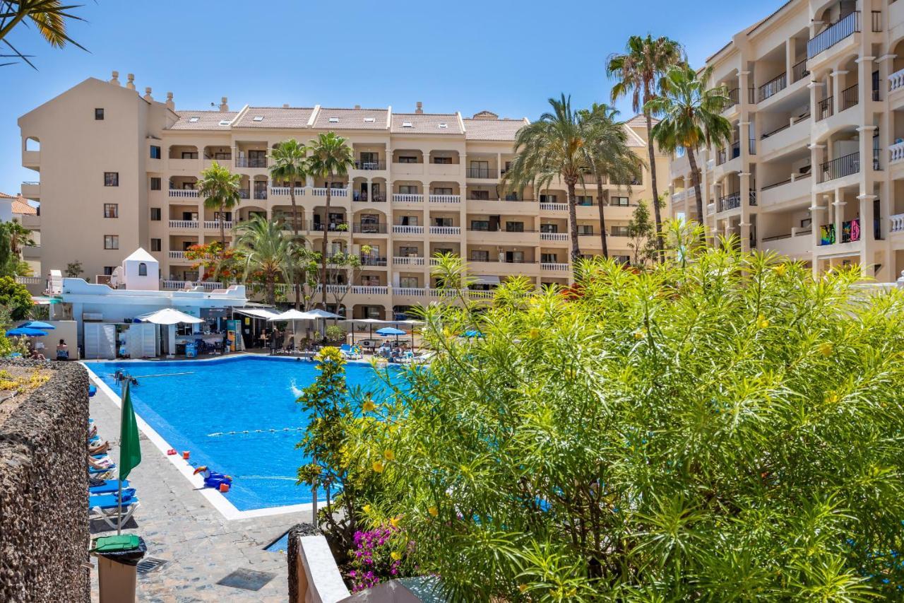 Castle Harbour Cozy Studio Heated Pool Los Cristianos Lovetenerife Arona  Εξωτερικό φωτογραφία
